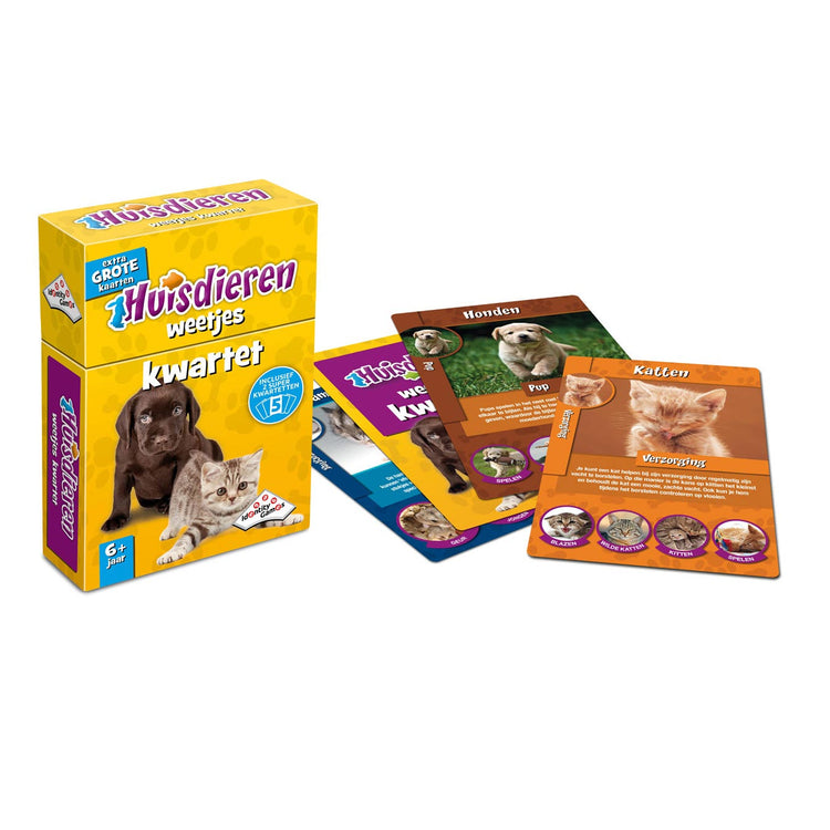 Giochi di identità Pets Facts Quartet