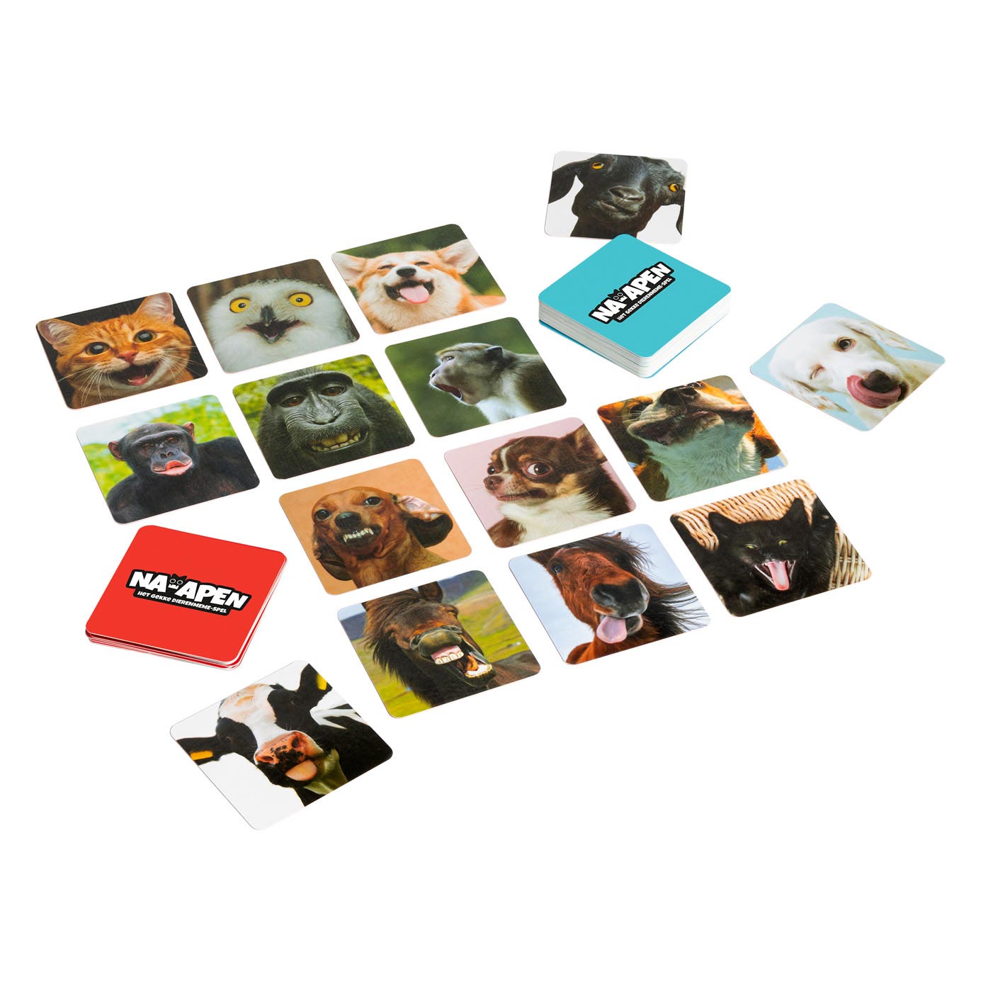 Games Identity Games Navy Crazy Animals Game