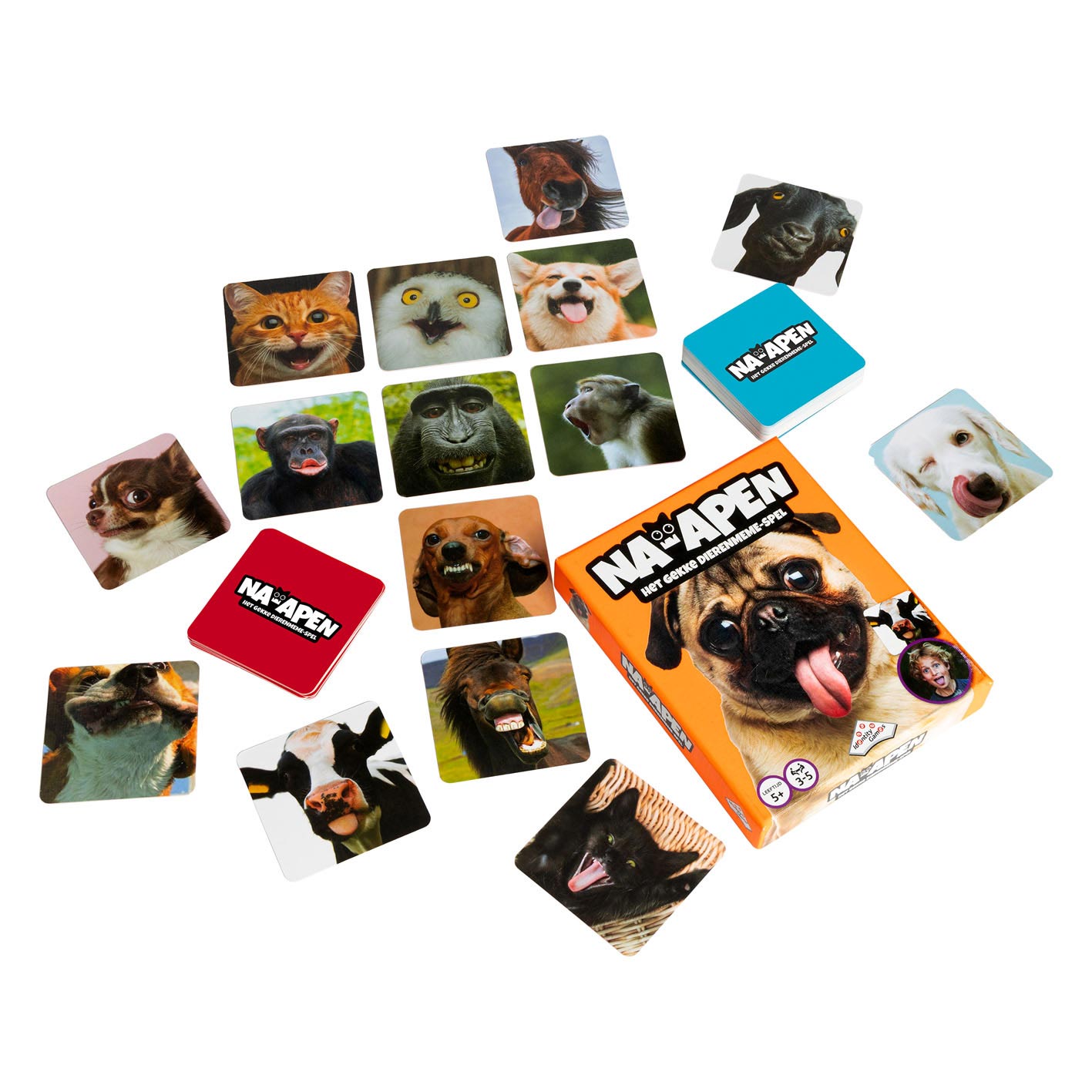 Games Identity Games Navy Crazy Animals Game