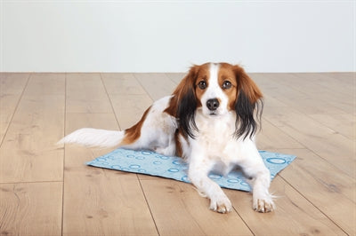 Alfombrilla de refrigeración Trixie azul claro