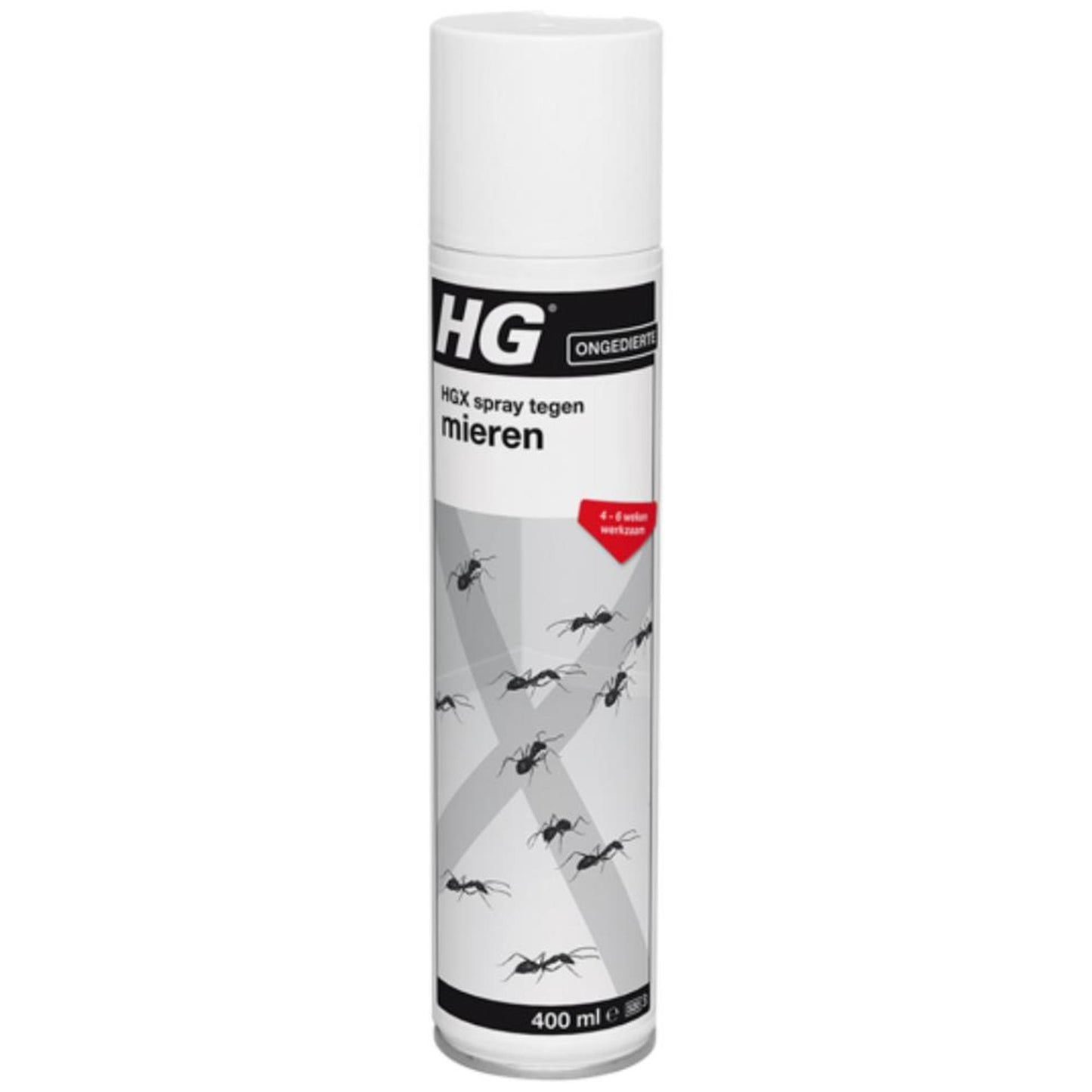 Spray HG HGX contro le formiche