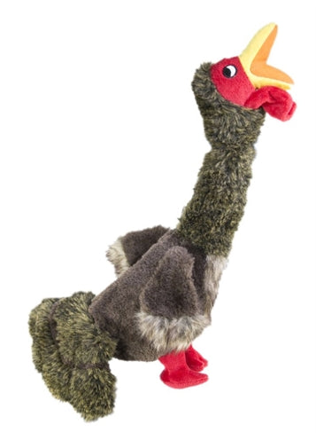 Kong Shakers Honkers Turchia