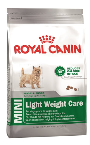 Canino canino reale mini cura leggera