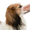 Trixie Eye Care Cleaning Pay in mente
