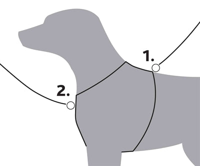 Trixie Dog Harder Premium Trekking Aqua Blue Gray