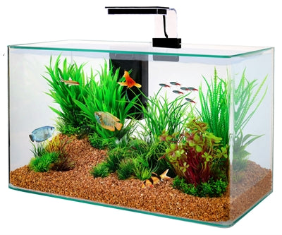 Kit Zolux Aquarium Clear Black