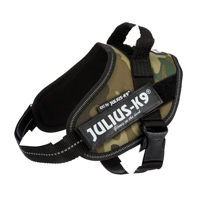 Julius-K9