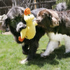 Kong Comfort Jumbo Duck Surti