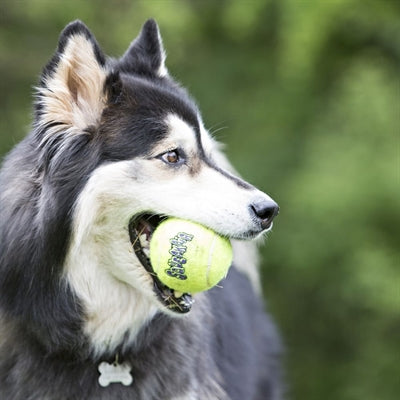 Pallina da tennis Kong Squeakair gialla con squeak