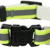 Trixie Junior Collar Kitten che riflette gli assorchi