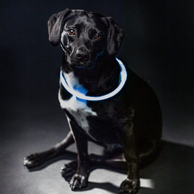 Trixie Collar USB Flash Light Luminous ricarica TPU blu