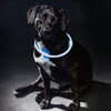 Trixie collar USB Flash Luz luminosa TPU recargable Azul