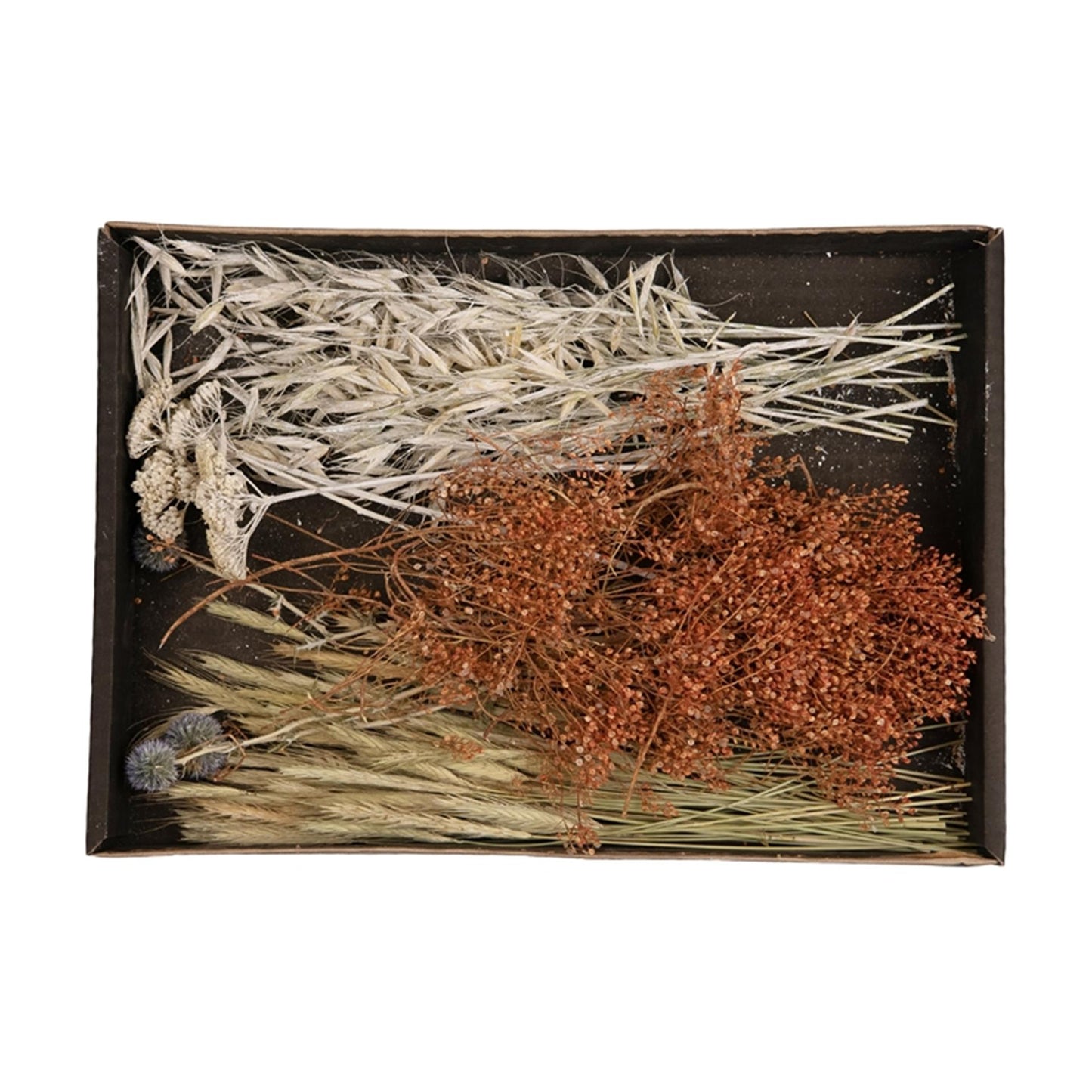 Natural collections bandeja mix flores secas 38x26x5cm