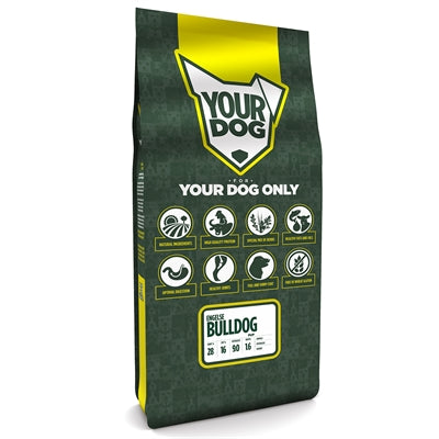 Yourdog inglés bulldog cachorro