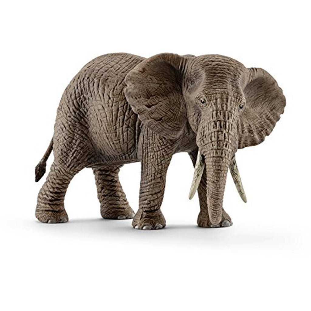 Schleich Vida salvaje Elefante africana Femenina 14761