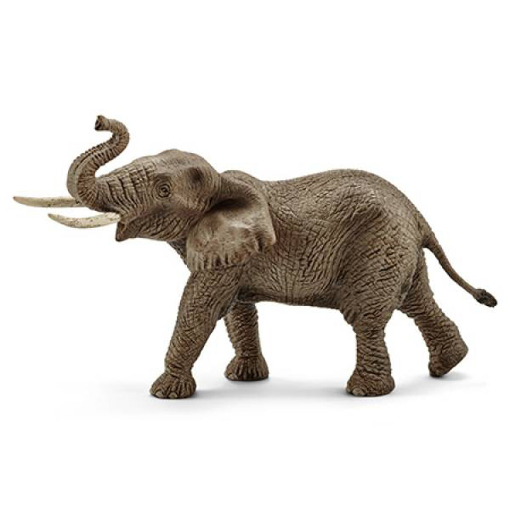 Schleich vida salvaje elefante africano macho 14762