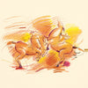 Faber Castell Faber Castell FC-110012 Polychromos colorato Polychromos 3,8 mm Spessore del nucleo di 12 pezzi