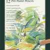 Faber-castell faber castell fc-112112 pastelpotlood pitt metalen etui a 12 stuks