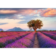 Ravensburger rompecabezas campos de lavanda 1000 piezas - afbeelding 1