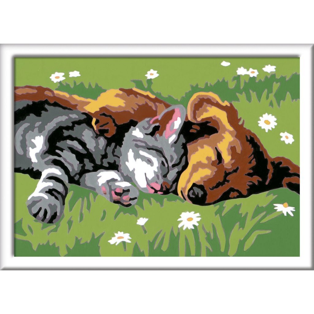 Ravensburger CreArt Pintura sobre número Gatos y perros dormidos