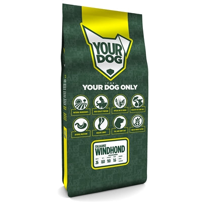 Yourdog italiano Greyhound maduro