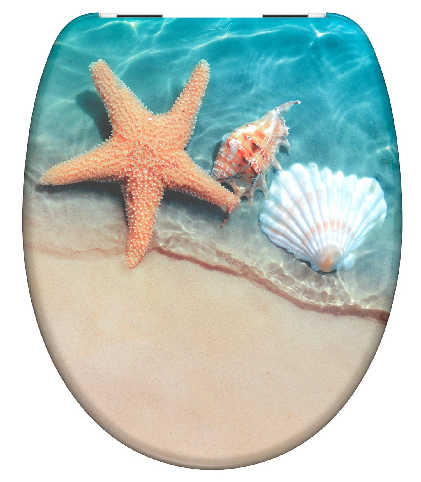 SHOTTE SHOTTE SEDILE DEL TCADINA CON BEACH CLOSE