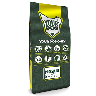 Yourdog Porcelaine senior