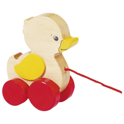 Goki Pato de animales migratorios
