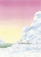 Postal 139: osito polar, avo