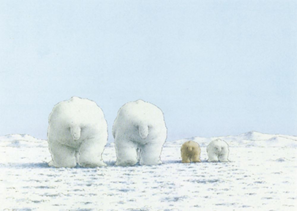 Postal 141: osos polares en la nieve