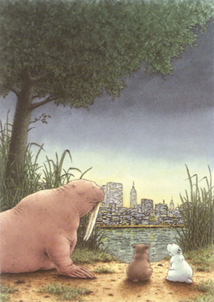 Cartolina illustrata 149: piccolo orso polare a m