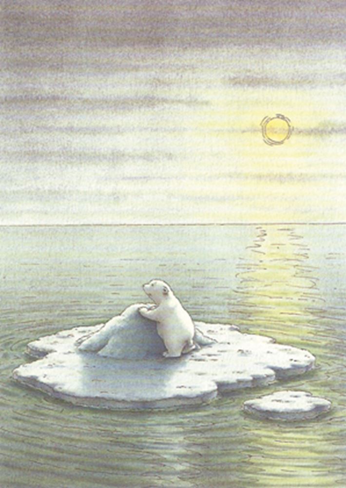 Postal 211: oso polar en el trópico.