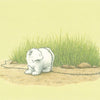 Cartolina illustrata 212: orso polare e formiche.