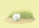 Cartolina illustrata 212: orso polare e formiche.