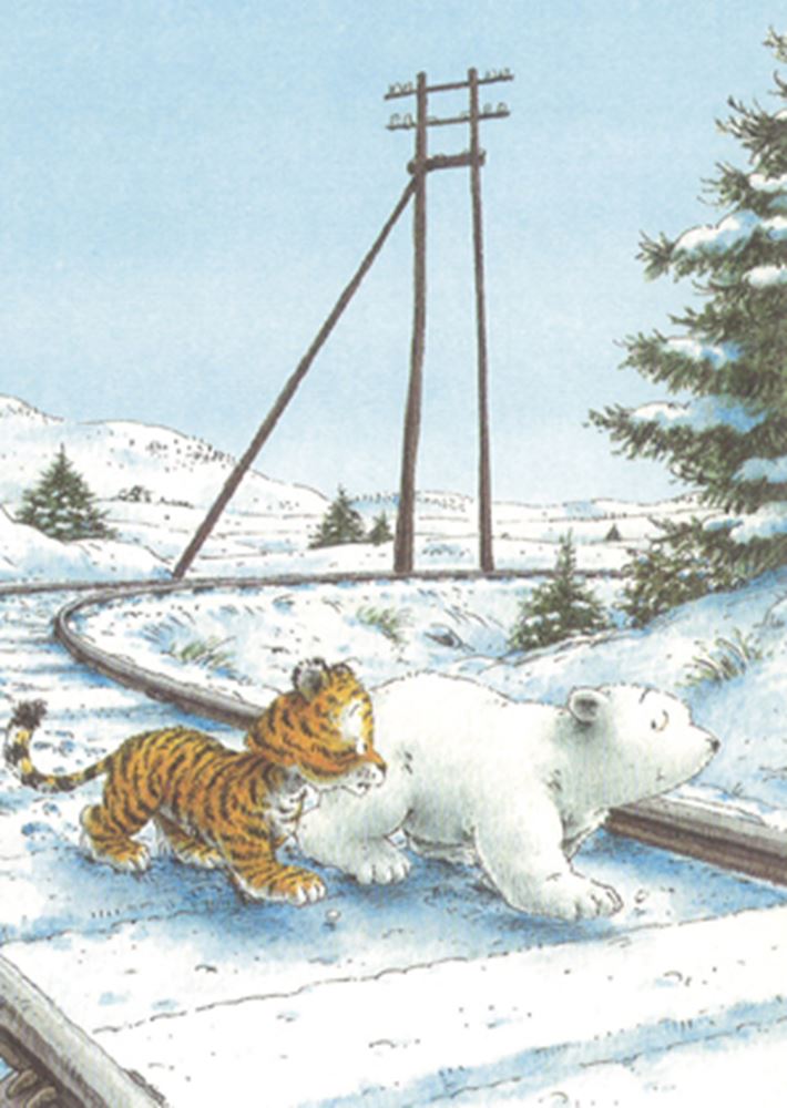 Postal 257: el osito polar lo sabe