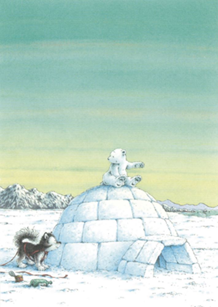 Cartolina illustrata 262: piccolo orsetto polare e n