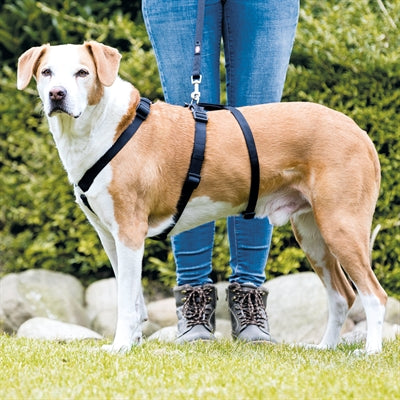 Trixie Dog Harness Stay Negro