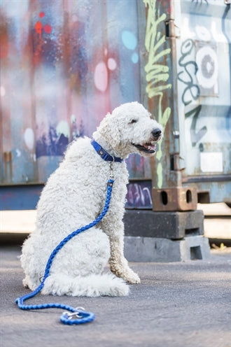 Trixie Dog Leash Cavo Indigo Royal Blue