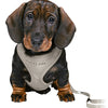 Trixie junior puppytuig soft met riem lichtgrijs