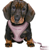 Trixie junior cucciolo eigen morbido con riem lila