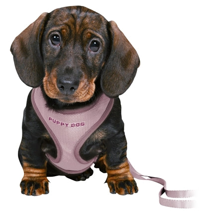 Trixie Junior Puppy Eigen Soft con Riem Lila