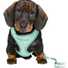 Trixie Junior Puppy Economes morbido con Riem Mintgroen