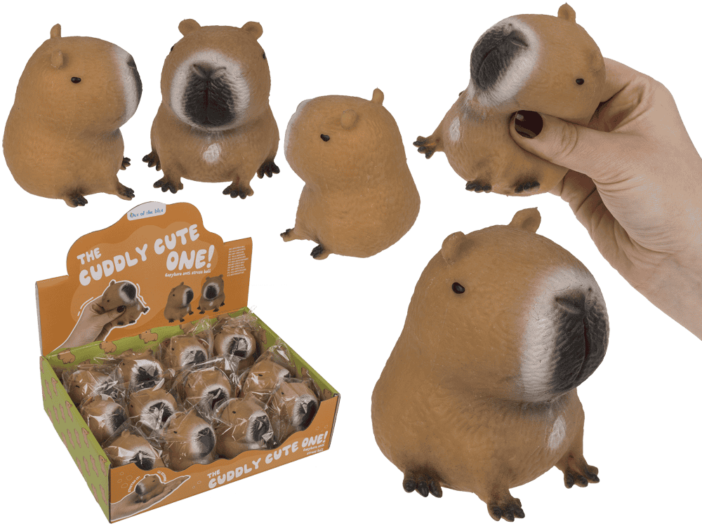 Dsp squeezie capibara. 12 pezzi in dsp.