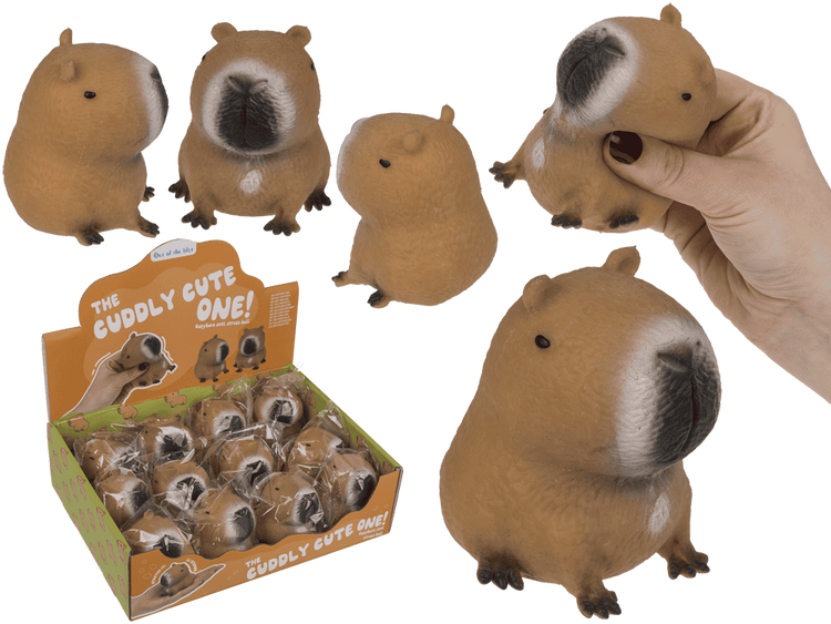 Dsp squeezie capybara. 12 stuks in dsp.