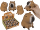 Dsp squeezie capibara. 12 pezzi in dsp.