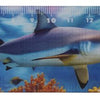 Righello Dsp animali marini, 21 cm. 12 assi