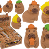 Gomme Dsp capibara. 4 assi 24 pezzi dentro