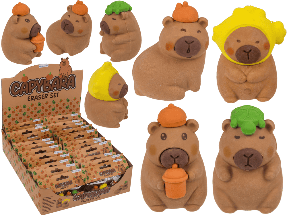Gomme Dsp capibara. 4 assi 24 pezzi dentro