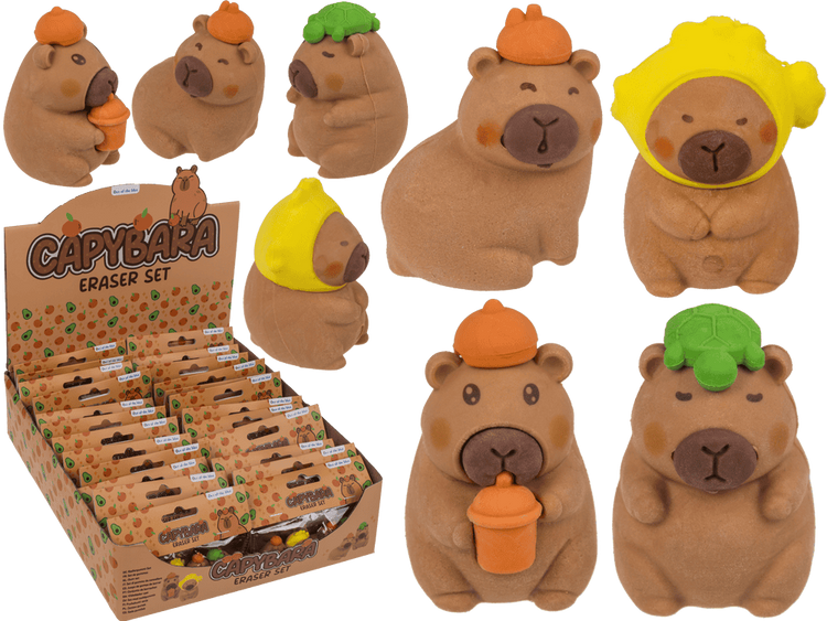 Gomme Dsp capibara. 4 assi 24 pezzi dentro