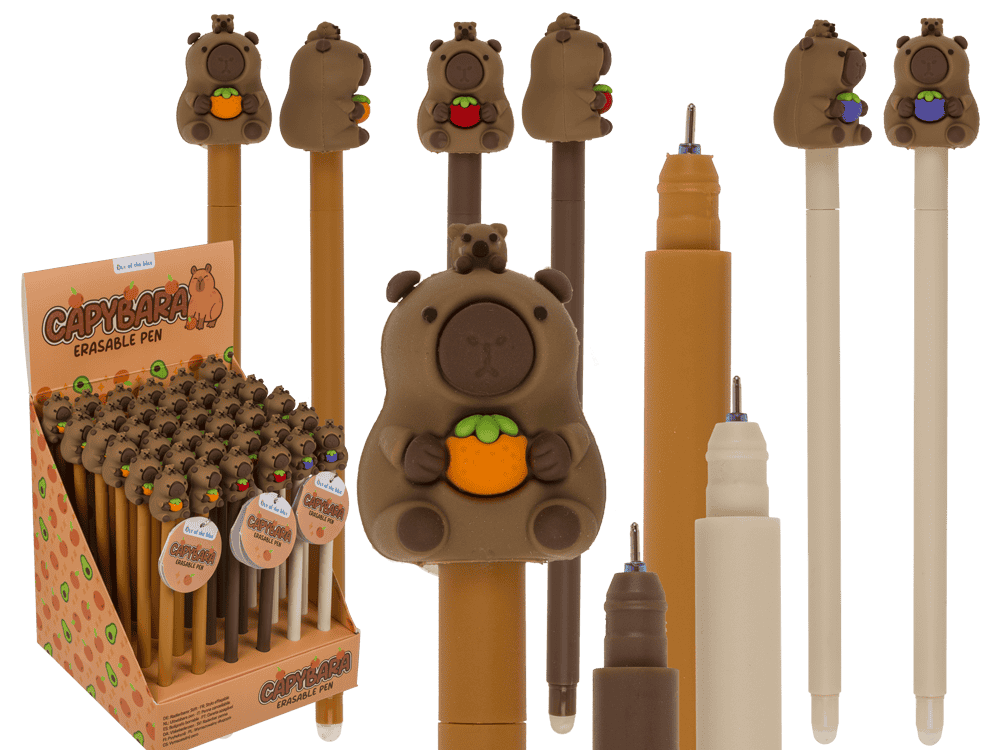 Dsp erasable pen, capybara. 3 ass. 36